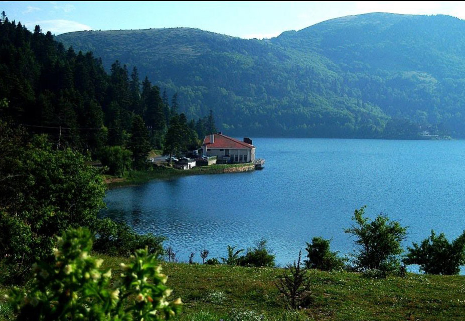 uçak bileti